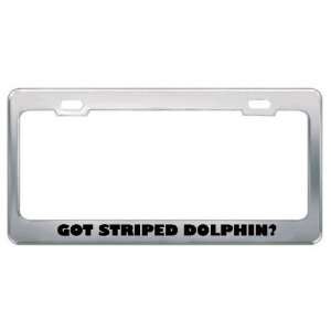 Got Striped Dolphin? Animals Pets Metal License Plate Frame Holder 
