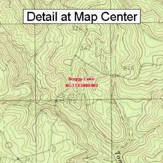  USGS Topographic Quadrangle Map   Boggy Lake, Texas 