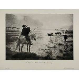  1912 Camargue Marsh Marshland Cows E. Doigneau Print 