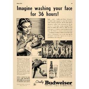   Budweiser Beer Bath Maypole Parrot   Original Print Ad