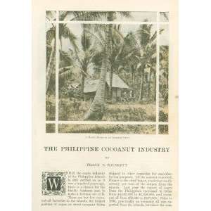  1911 Cocoanut Growing Philippine Islands illustrated 