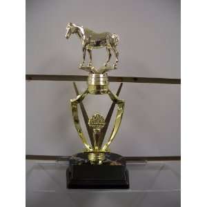  Trophy or Trophies With Horse 