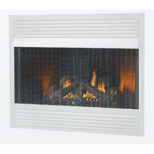  for Napoleon BGD42N D, BGNV42N and GVF42 Fireplaces