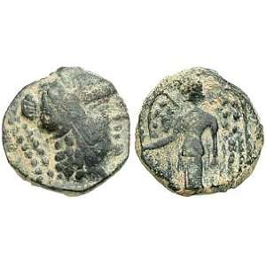  Nabataean Kingdom, Aretas III, 87   62 B.C.; Bronze AE 16 