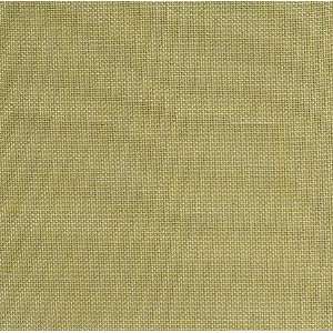  2263 Luster in Limeade by Pindler Fabric