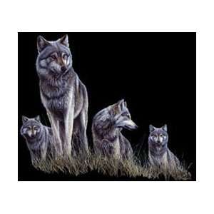  T shirts Animals Wildlife Wolves on High Ground Xl 