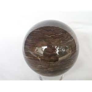    3.5 Polished Petrified Wood Sphere, 9.6.7 