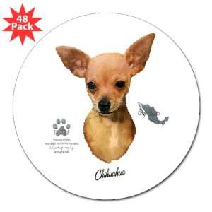   Sticker (48 Pack) Chihuahua from Toy Group and Mexico 