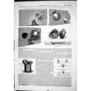  1882 ENGINEERING EFFECTS SHOT COMPOUND ARMOUR PLATE 