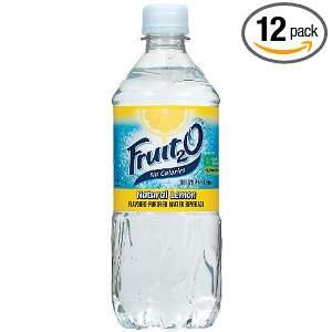 Fruit2O, Lemon, 20 Ounce Bottles (Pack of 12)  Grocery 