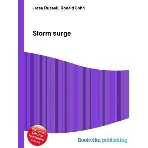 Storm surge [Paperback]