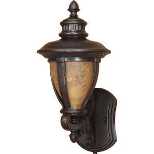 Galeon Arm Up Wall Lantern in Old Penny Bronze Size 18.375 H x 8.5 