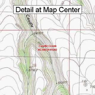  USGS Topographic Quadrangle Map   Caudle Creek, Nevada 