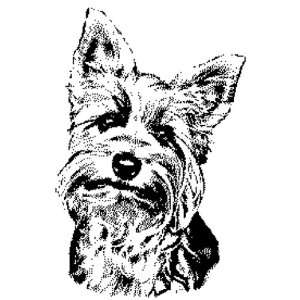   terrier rubber stamp WM 2.25x1.5 queenie Arts, Crafts & Sewing