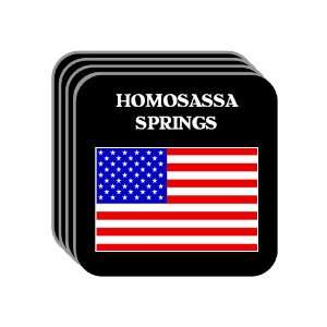  US Flag   Homosassa Springs, Florida (FL) Set of 4 Mini 