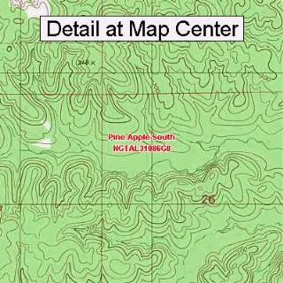 USGS Topographic Quadrangle Map   Pine Apple South, Alabama (Folded 