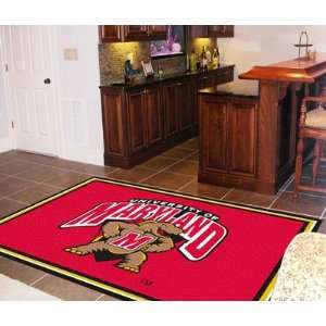 Maryland Large Area Rug 