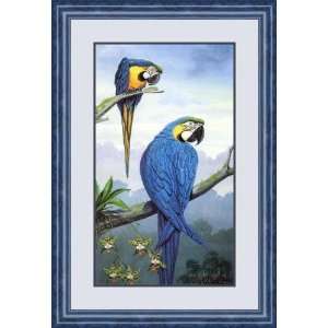   and Gold Macaw by Jules Scheffer   Framed Artwork