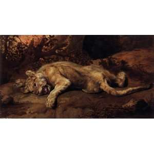   Made Oil Reproduction   Frans Snyders   24 x 14 inches   The Lioness