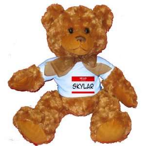   my name is SKYLAR Plush Teddy Bear with BLUE T Shirt Toys & Games