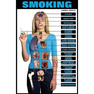  Harmful Effects of Smoking 24 X 36 Laminated Poster 