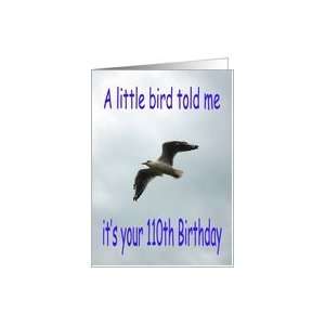  Happy 110th Birthday Flying Seagull bird Card Toys 