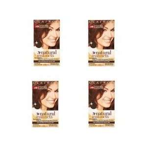 Clairol Natural Instincts Hair Color, 13A Gingerbread, Light Bronze 