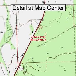  USGS Topographic Quadrangle Map   Codys Corner, Florida 