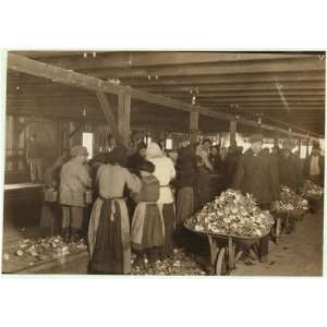  Photo Shucking oysters in the Alabama Canning Company 