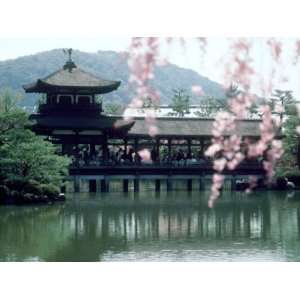 Garden Bridge of Heian Jingu Shrine in Spring, Kyoto, Japan Stretched 