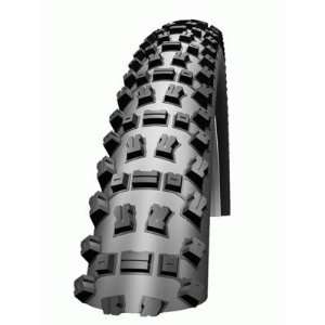Schwalbe Fat Albert HS 400 Tubeless Ready SnakeSkin Mountain Bicycle 