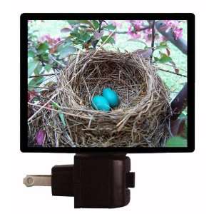  Bird Nest Night Light   Robin Eggs