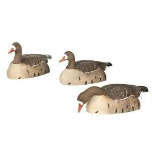   Gear Hot Buy Specklebelly Shell Decoys 12 Pack