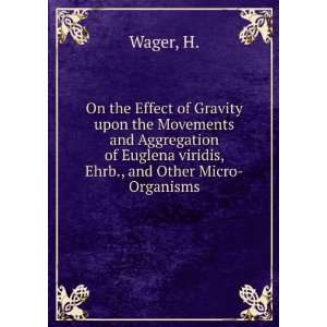 On the Effect of Gravity upon the Movements and Aggregation of Euglena 