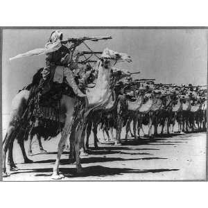  Arab Legion,Camel Corps,Men on camels with rifles,WWII 