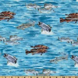  44 Wide Reel Em In Fish Allover Light Blue Fabric By 