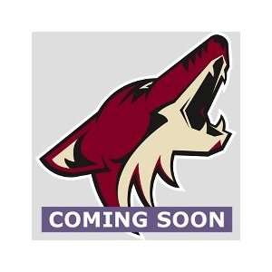  Phoenix Coyotes Logo, Phoenix Coyotes   FatHead Life Size 