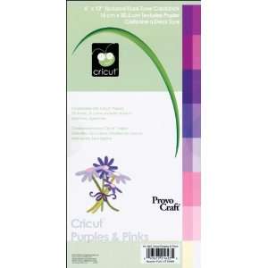  Cricut Cardstock Pad 6X12 32 Sheets Purples & Pi