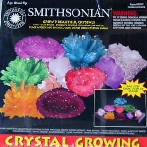  Smithsonian Crystal Growing Kit Toys & Games