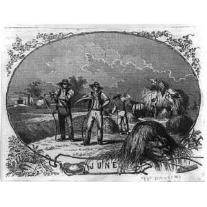    June,Farm scene,Men cutting hay,scythes,wagon,1854