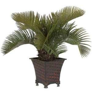  Potted Cycas Palm Silk Plant