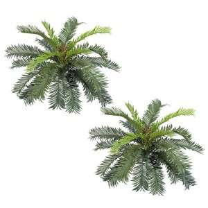  TWO 27 (diameter) Cycas Palm Artificial Silk Plants