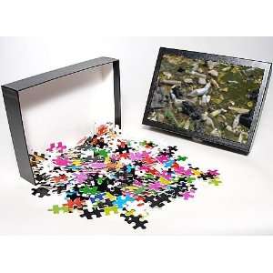   Jigsaw Puzzle of Rubbish, Morocco from Robert Harding Toys & Games