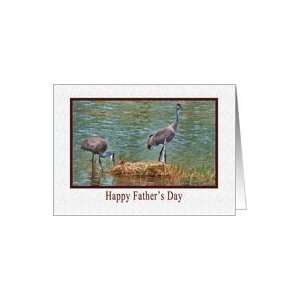 Fathers Day, Sandhill Crane Family Card Health 