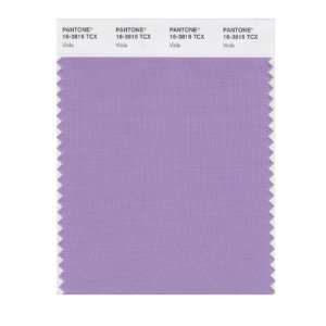  PANTONE SMART 16 3815X Color Swatch Card, Viola