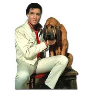  Elvis and Bloodhound Diecut Birthday Card Health 
