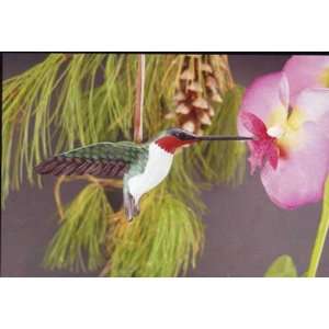  4 in Ruby Throated Hummingbird Ornament 