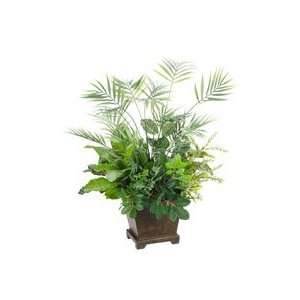  19 Inch Palm / Fittonia / Fern in Designer Pot Patio, Lawn & Garden