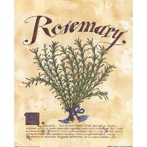  Rosemary Poster Print