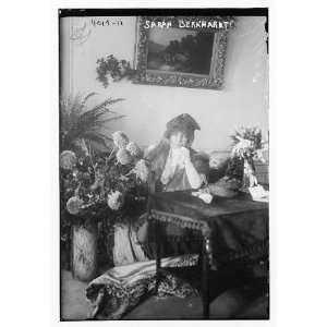  Sarah Bernhardt
